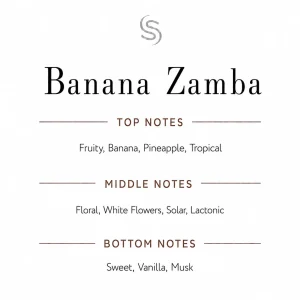 Banana Zamba Fragrance Oil Notes
