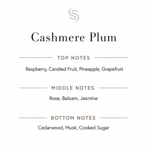 Cashmere Plum Fragrance Oil Notes