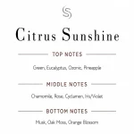 Citrus Sunshine Fragrance Oil Notes