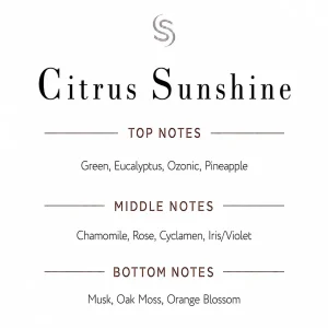 Citrus Sunshine Fragrance Oil Notes