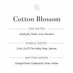 Cotton Blossom Fragrance Oil 3 Cotton Blossom Fragrance Oil Notes