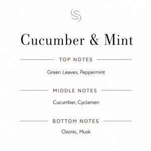 Cucumber & Mint Fragrance Oil Notes