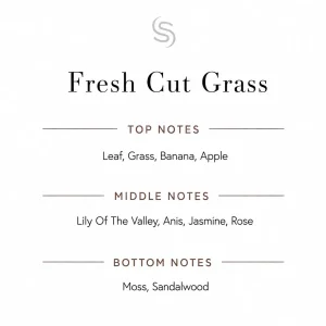 Fresh Cut Grass Fragrance Oil Notes