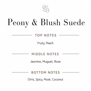 Peony & Blush Suede Fragrance Oil