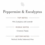 Peppermint & Eucalyptus Fragrance Oil 3 Peppermint & Eucalyptus Fragrance Oil Notes