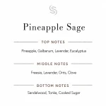 Pineapple Sage Fragrance Oil 3 Pineapple Sage Fragrance Oil Notes